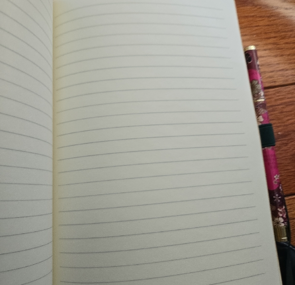 Johnny Was Notebook With Pen & Tote - Picture 5 of 8